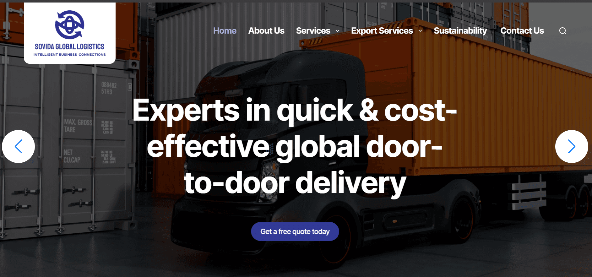 Sovida Global website preview